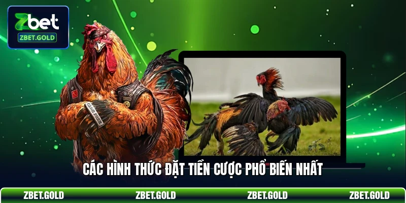 Các hình thức đặt tiền cược phổ biến nhất