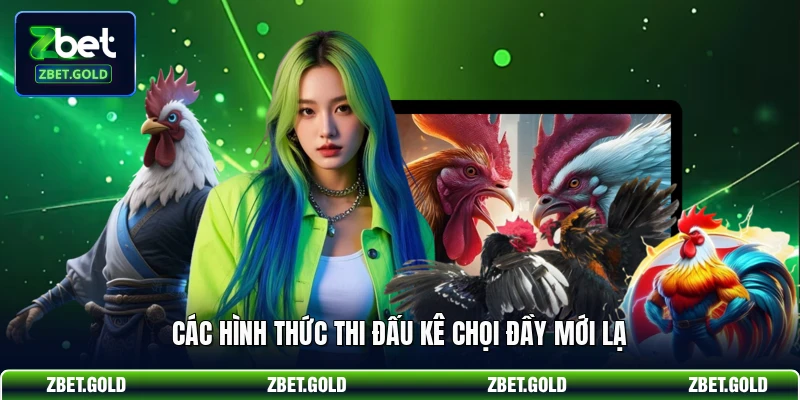 Các hình thức thi đấu kê chọi đầy mới lạ