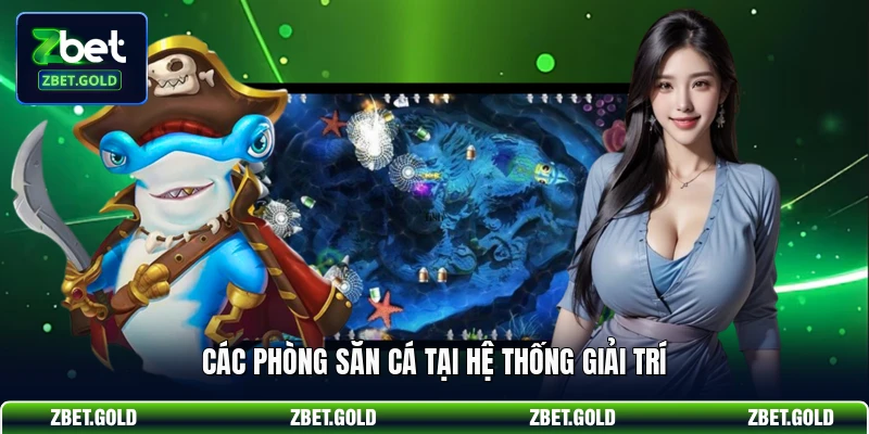Các phòng săn cá tại hệ thống giải trí