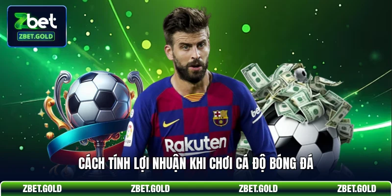 Cách tính lợi nhuận khi chơi cá độ bóng đá