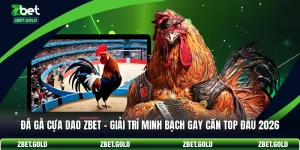 Đá Gà Cựa Dao ZBET - Giải Trí Minh Bạch Gay Cấn Top Đầu 2026