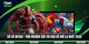 Đá Gà WS168 - Trải Nghiệm Giải Trí Chọi Kê Mới Lạ Nhất 2026
