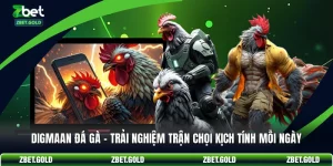 Digmaan Đá Gà - Trải Nghiệm Trận Chọi Kịch Tính Mỗi Ngày