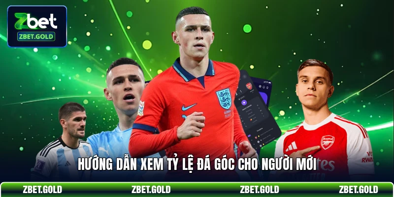 Hướng dẫn xem tỷ lệ đá góc cho người mới