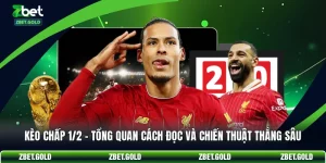 Kèo Chấp 1/2 - Tổng Quan Cách Đọc Và Chiến Thuật Thắng Sâu