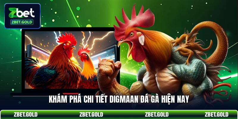 Khám phá chi tiết Digmaan đá gà hiện nay