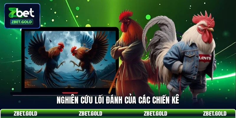 Nghiên cứu lối đánh của các chiến kê
