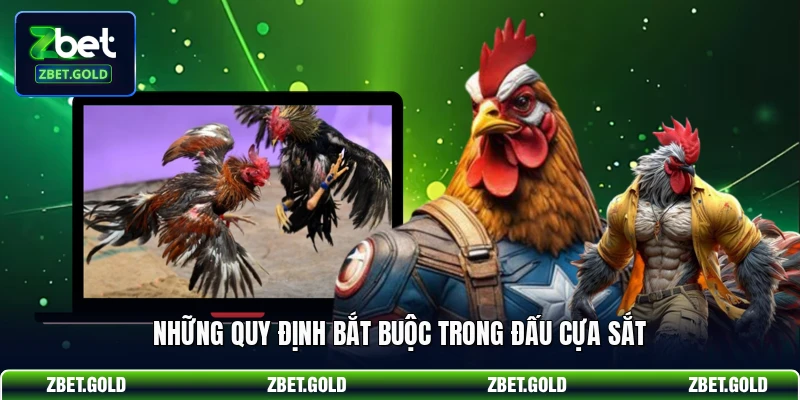 Những quy định bắt buộc trong đấu cựa sắt